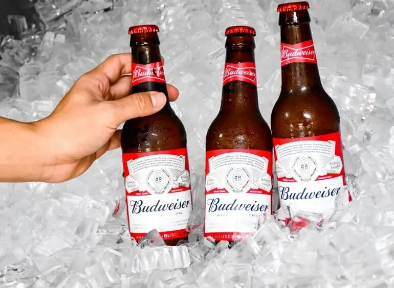 Bia tươi Budweiser khác gì so với bia chai/lon?