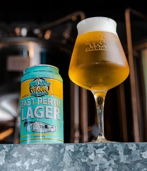Các dòng Lager phổ biến