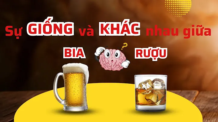 Mở đầu: Bia và rượu - Đồ uống quen thuộc trong cuộc sống