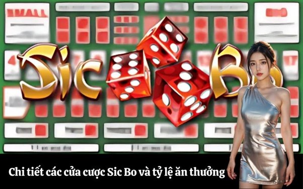 Chi tiết các cửa cược Sic Bo và tỷ lệ ăn thưởng