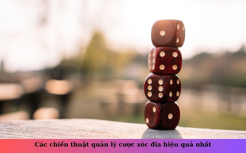 Các chiến thuật quản lý cược xóc đĩa hiệu quả nhất