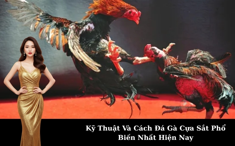 Kỹ Thuật Và Cách Đá Gà Cựa Sắt Phổ Biến Nhất Hiện Nay