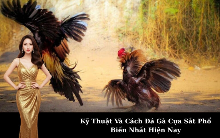 Kỹ Thuật Và Cách Đá Gà Cựa Sắt Phổ Biến Nhất Hiện Nay